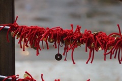 高尾山行　１９