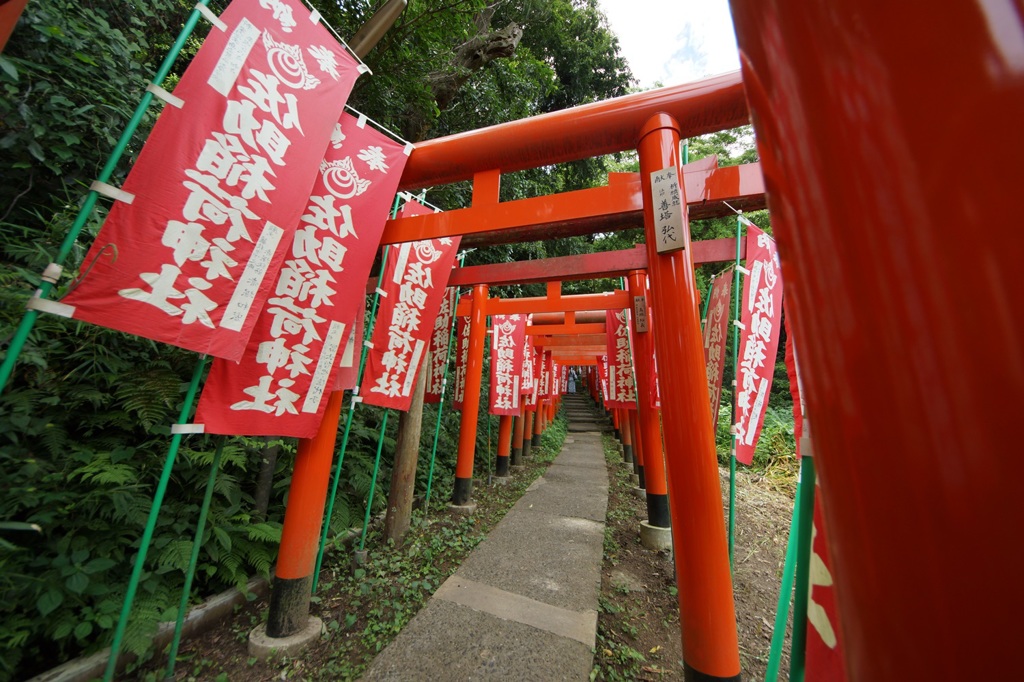 佐助稲荷参道