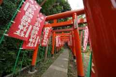 佐助稲荷参道