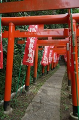 佐助稲荷参道