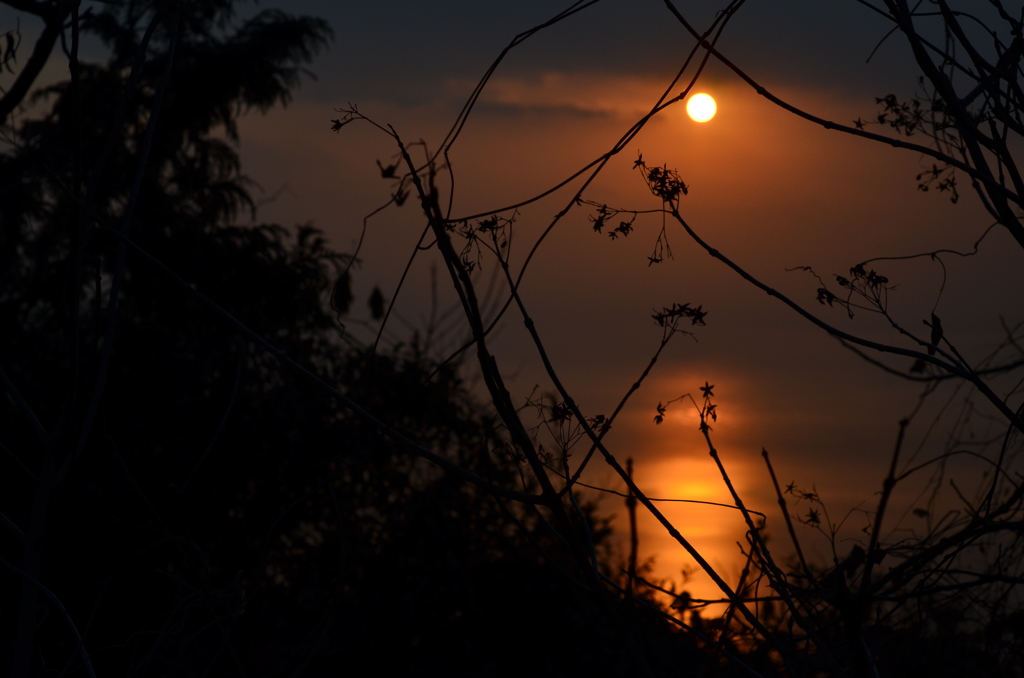 沈みゆく太陽