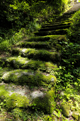 Green stairs