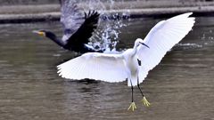 写真６８ 023