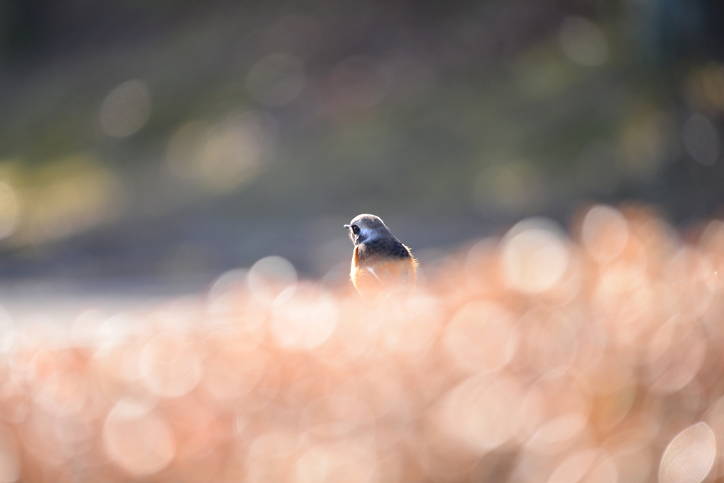 写真７6 001