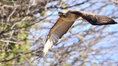 写真５6 018
