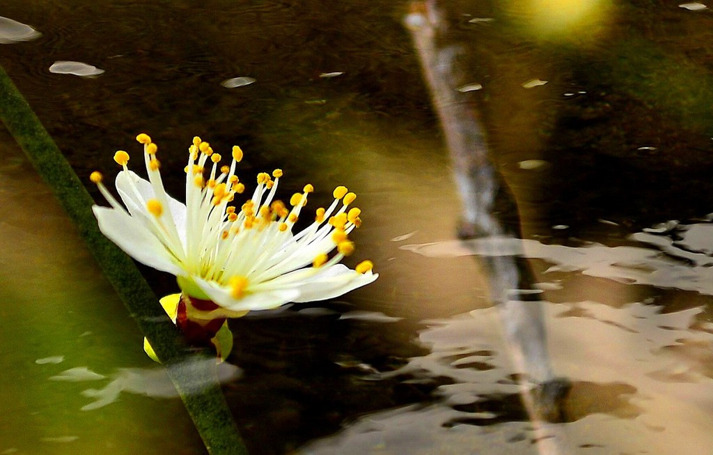 2014.3.4 053