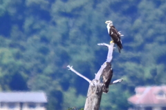写真５7 029