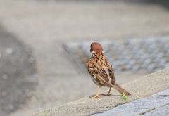 今日はどこへ行こうか