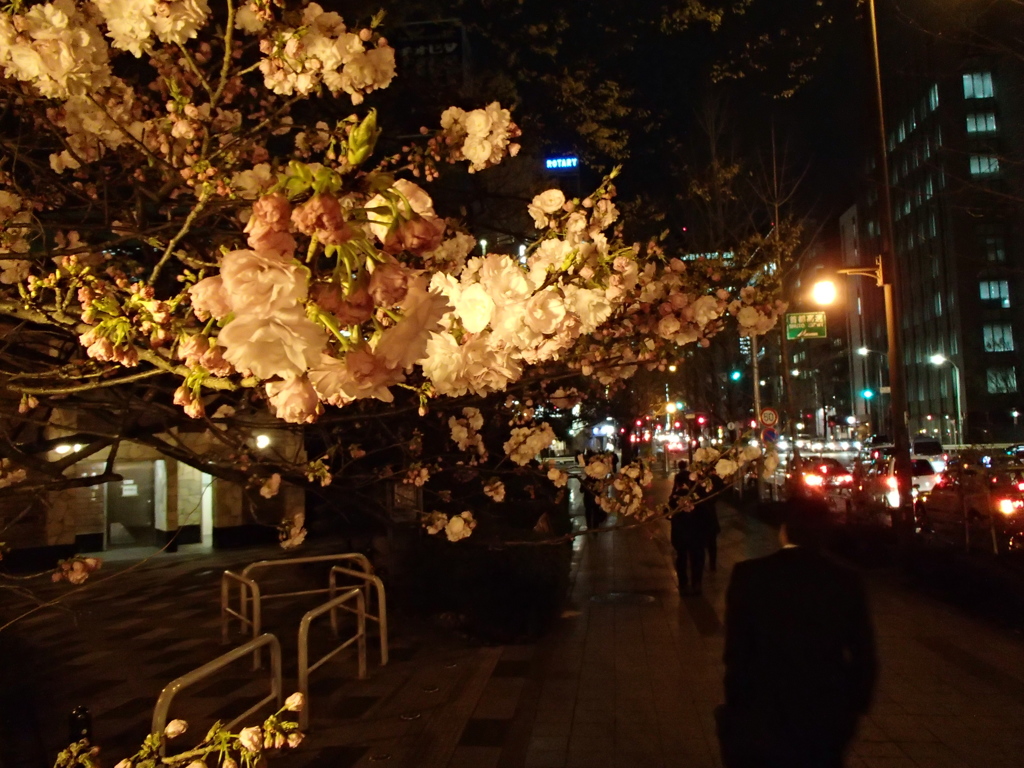 神田橋、3月31日