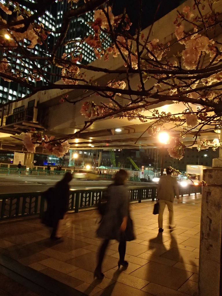 神田橋、3月31日