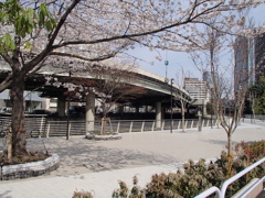 4/1、午後の竹橋