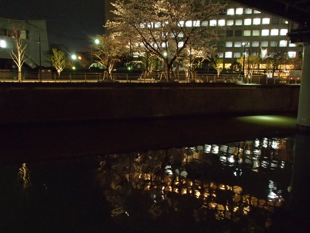 神田橋、3月31日