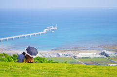 海の見える丘