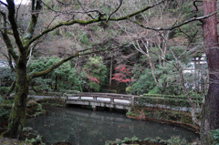 DSCN0218