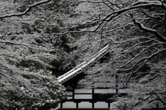 雪の南禅寺