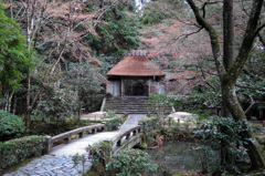 DSCN0223