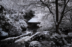 雪の法然院
