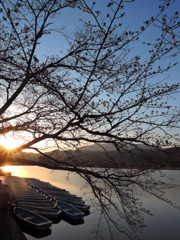 京都_広沢池