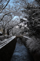 雪の哲学の道