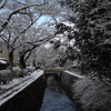 雪の哲学の道