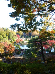六義園 紅葉2013