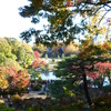 六義園 紅葉2013