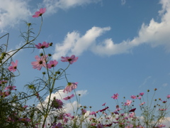 青い空と