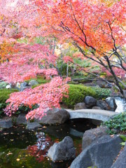 大田黒公園　紅葉2013