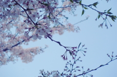 そらと