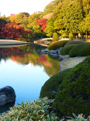 六義園 紅葉2013