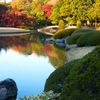 六義園 紅葉2013