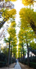 大田黒公園　紅葉2013