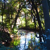 六義園 紅葉2013