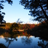 六義園 紅葉2013