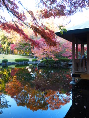 大田黒公園　紅葉2013