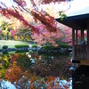 大田黒公園　紅葉2013