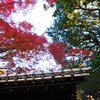 六義園 紅葉2013