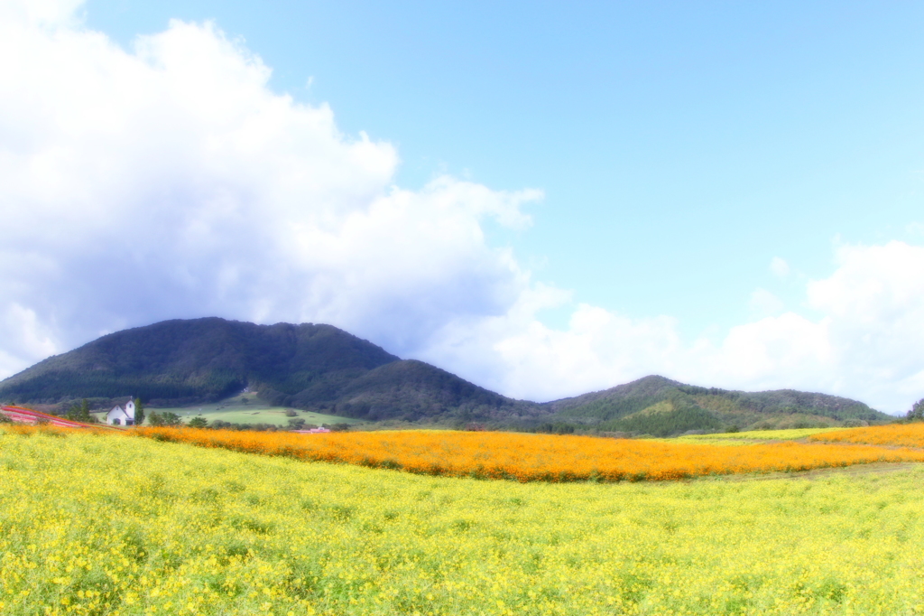 HANA・HANA 101 (Cosmos)