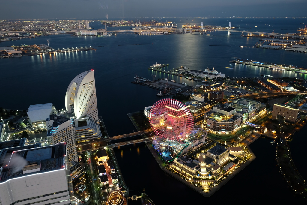 BLUE LIGHT MINATOMIRAI