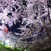 HANA・HANA 35 (sakura・yorunokomichi)　