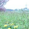 ☂と・・・