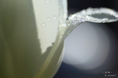 - 水珠 -