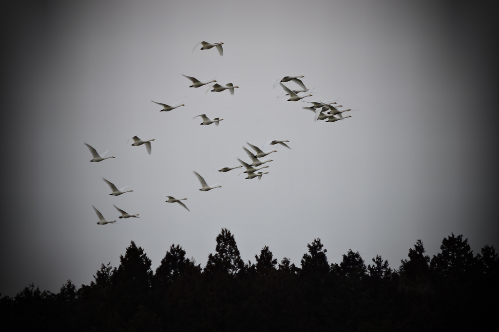 北の空