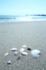 !nstrumental (the sea・Ⅴ)