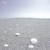 !nstrumental (the sea ・ Ⅷ)