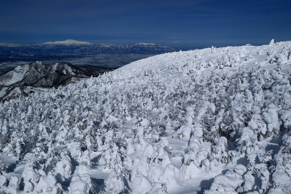 W!nter ZAO !!! (東北の名峰を望んで)