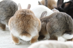 かわいいお尻♪