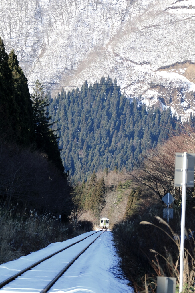 陸羽東線