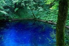 瑠璃色の池