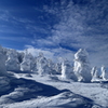 霧氷・樹氷